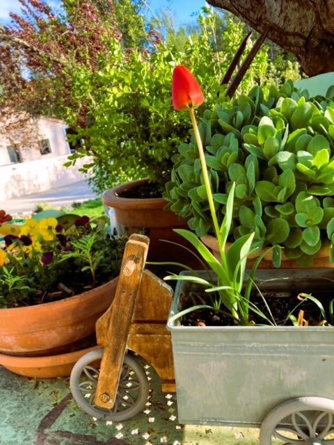 Mirabeau  La Mirabelle - Suite Familiale De Charme En Provence מראה חיצוני תמונה